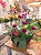 Arranjo com orquídeas - Imagem 1