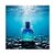 ADIDAS VIBES ENERGY DRIVE EDP 100 ML + SHOWER - Imagem 2