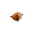 Concha Natural - Imagem 2