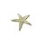 Estrela do Mar Natural - Imagem 1