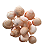 Concha Natural - Imagem 2
