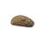 Concha Abalone - Haliotis - pacote com 10 unidades - Imagem 6