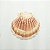 Concha Grande - Natural - Imagem 3