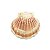 Concha Grande - Natural - Imagem 1