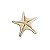 Estrela do Mar Natural - Imagem 2