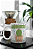 ARTES PARA SUCULENTA - Imagem 3