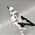 Coleção Star Wars Elite Force Action Figure, 501°, 442° Sombra, Utapau Gree - Imagem 10