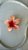 Presilha Flor Gringa - Imagem 1