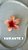 Presilha Flor Gringa - Imagem 4