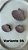 Presilhas Trio Conchas - Imagem 5