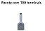 TERMINAL ILHOS/TUBO CINZA DUPLO 0,75MM PCT C/100PC - Imagem 1