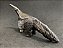 Figura Collecta - Tamanduá Bandeira - 13cm De Comprimento - Imagem 4