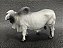 Figura Collecta - Touro Brahman - 14cm De Comprimento - Imagem 3