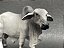 Figura Collecta - Touro Brahman - 14cm De Comprimento - Imagem 5