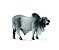 Figura Collecta - Touro Brahman - 14cm De Comprimento - Imagem 1