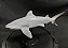 Figura Papo - Tubarão Cabeça Chata - 15cm Comprimento - Imagem 2