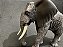 Figura Mojo - Elefante Africano - 13cm Comprimento - Imagem 5