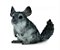 Figura Collecta - Chinchila - 5cm De Comprimento - Imagem 1