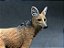 Figura Collecta - Lobo Guará - 8cm de comprimento - Imagem 4