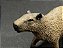 Figura Collecta - Capivara - 7cm de comprimento - Imagem 5