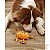 Brinquedo Pelúcia para Cães com Apito Cranguejo - Toya - Imagem 3
