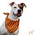 Bandana para Pet Dupla Face Caverinha - Dognerd - Imagem 5