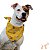 Bandana para Pet Dupla Face Happy Hour - Dognerd - Imagem 2