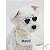 Mini Óculos de Sol para Cães e Gatos Coração Branco - Toya - Imagem 3
