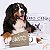 Tapete Higiênico Lavável Diário Canino 5ª Edição - Bartõ - Imagem 5