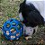 Brinquedo Bola Porta Petisco para Cães Holee Roller - JW - Imagem 4