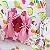 Casinha para Cães e Gatos Fruit Flow - Pata Chic - Imagem 3