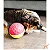 Brinquedo Interativo Porta Petisco para Cães Treat Tumble G - Outward Hound - Imagem 2