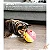 Brinquedo Interativo Porta Petisco para Cães Treat Tumble G - Outward Hound - Imagem 4