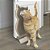 Arranhador de Porta para Gatos Connects Kitty Comber - Kong - Imagem 3