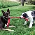 Brinquedo Cabo de Guerra para Cães Signature Cunch Rope Single - Kong - Imagem 2