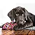 Brinquedo para Cães Wubba Finz Blue - Kong - Imagem 3