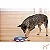 Brinquedo Interativo para Cães Tabuleiro Dog Twister - Nina Ottosson - Imagem 4
