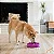 Comedouro Lento para Cães Fun Feeder Slo Bow Roxo - Outward Hound - Imagem 3