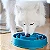 Comedouro Lento para Cães Fun Feeder Slo Bow Turquesa - Outward Hound - Imagem 2