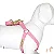 Conjunto Peitoral Americano e Guia Rosa - Pata Chic - Imagem 2