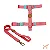 Conjunto Peitoral H e Guia Fiji -Toh - Imagem 1