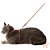 Conjunto Peitoral H para Gato Caqui/Caqui - Toh - Imagem 3