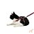 Conjunto Peitoral H para Gato Caqui/Bordô - Toh - Imagem 2