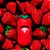 Kit Cata Caca Dispenser e Sacos Morango (1 dispenser + 7 rolos) - Vetreska - Imagem 2