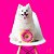 Brinquedo de Pelúcia para Cães Squeaker Plush Donut Morango M  - ZippyPaws - Imagem 4