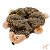 Pelúcia para Cães Circular com 6 Apitos Loopy Porco Espinho - ZippyPaws - Imagem 1