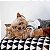 Brinquedo Pelúcia para Cães com apito Esquilo Jigglerz - Zippy Paws - Imagem 3