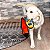 Pelúcia Cobra Resistente para Cães Durablez Snake - G 62cm - Outward Hound - Imagem 4