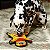 Pelúcia Lagartixa Resistente para Cães Invincibles Gecko  - G - Outward Hound - Imagem 3