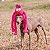Brinquedo Pelúcia para Cães Extensível Puxa Puxa Coelho Qmonster Rosa - Petta - Imagem 2